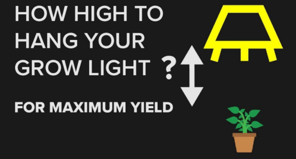 Grow Lights Intro – Light Intensity and Measurement