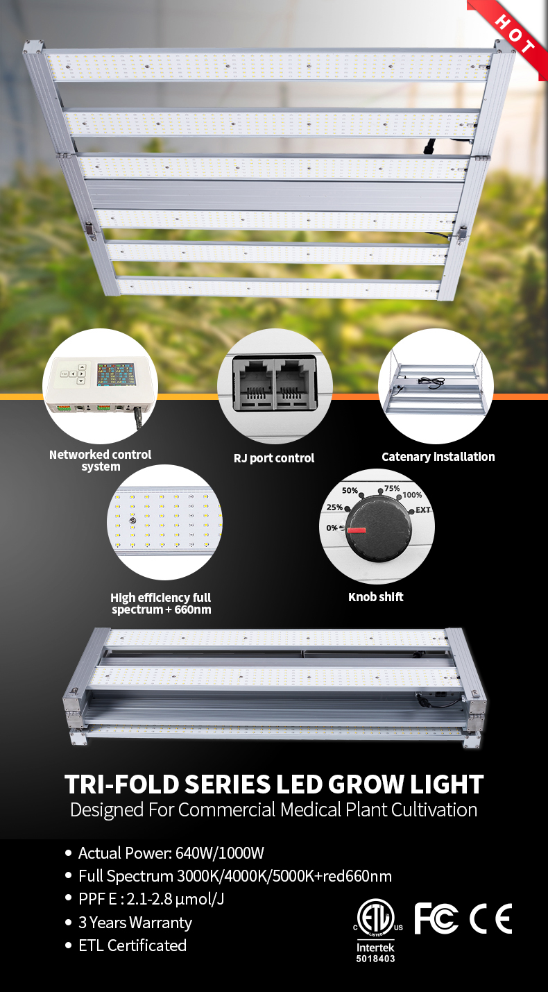 640W hemp grow light