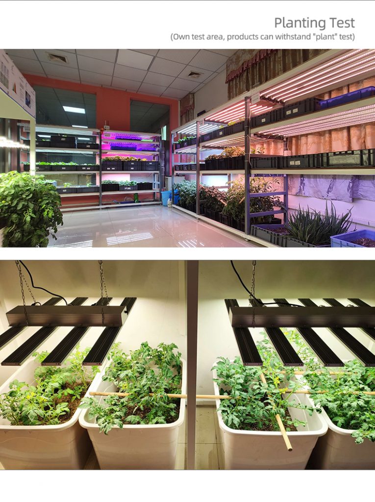 The principle, characteristics and application prospects of grow lights（二）