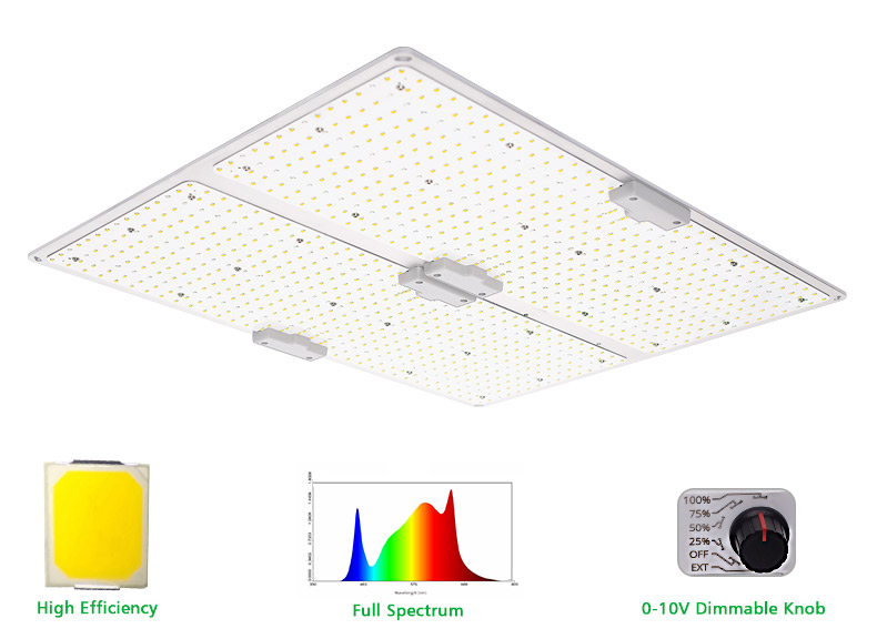 Quantum grow light led board