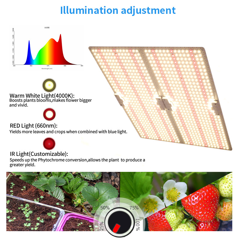 Quantum grow light led board