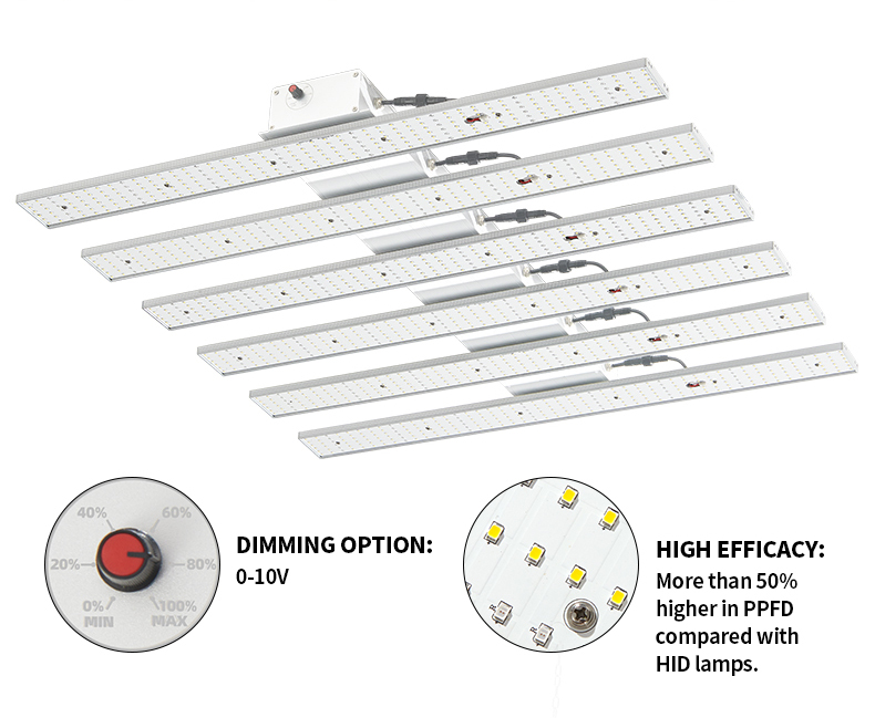 Anesthetic growth lamp for greenhouse