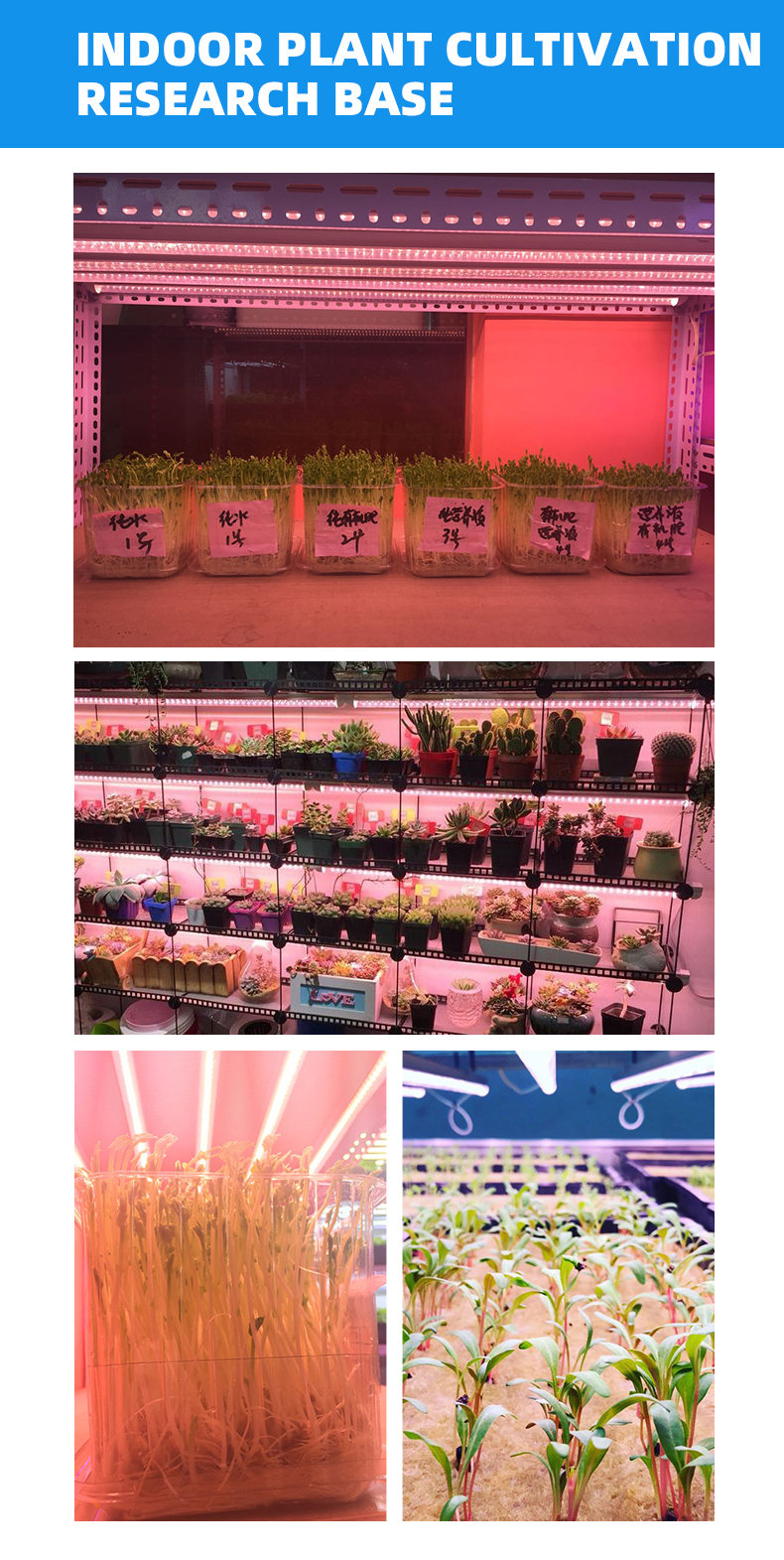 2ft 4ft T8 grow light