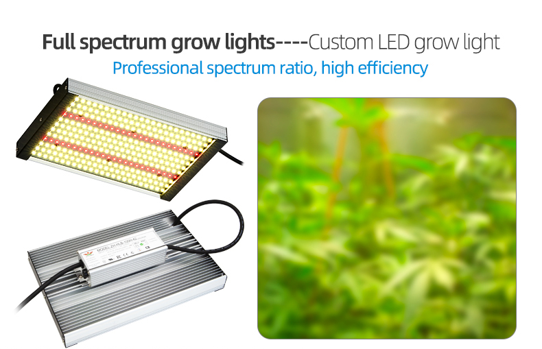 100watt grow led light