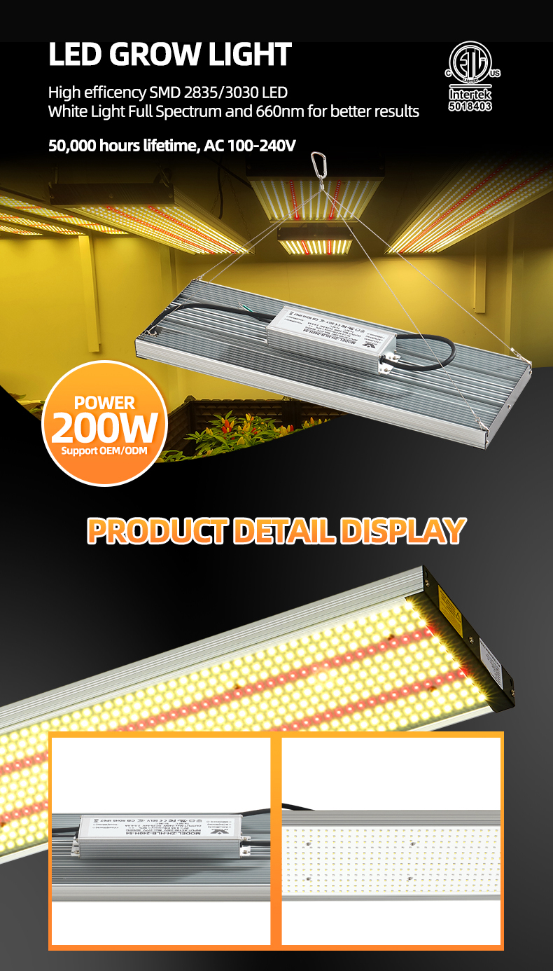 QB board 240W grow light