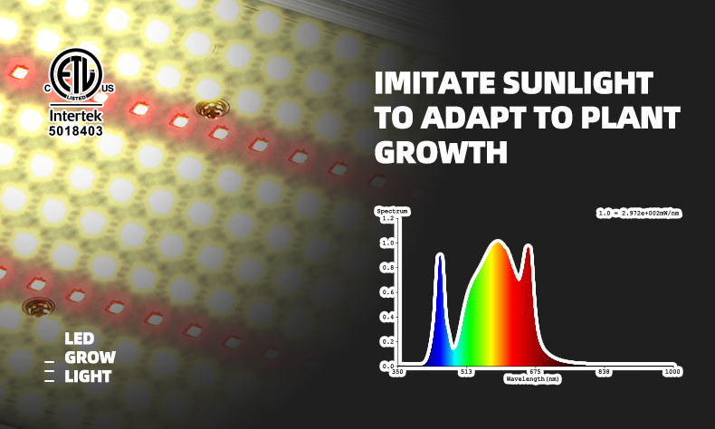 100watt grow led light