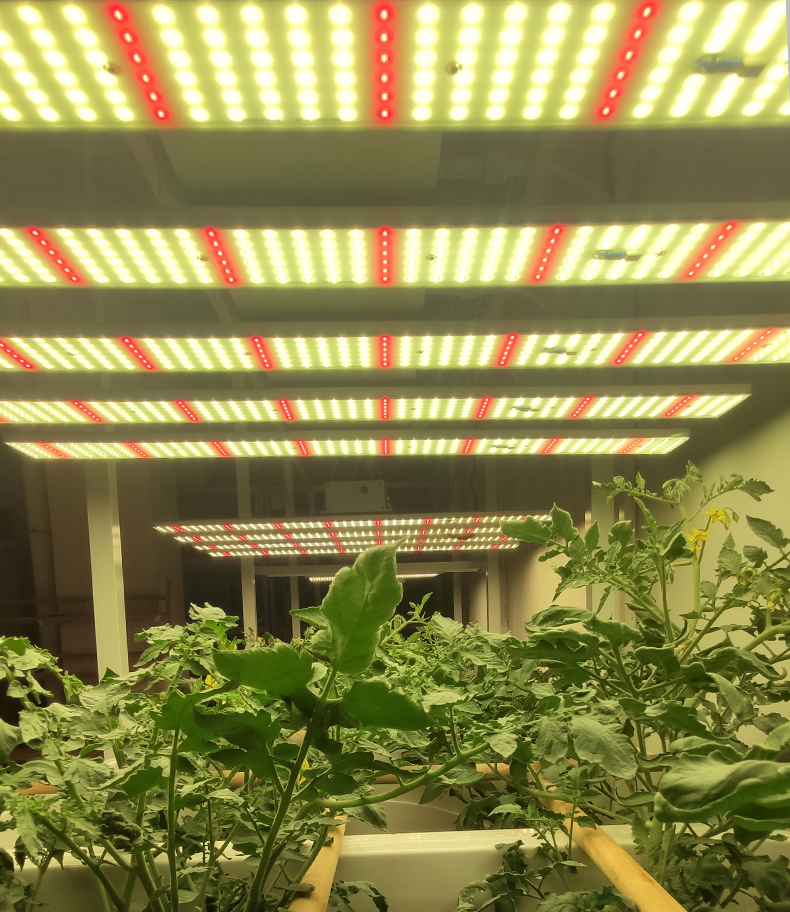 300W grow light bar