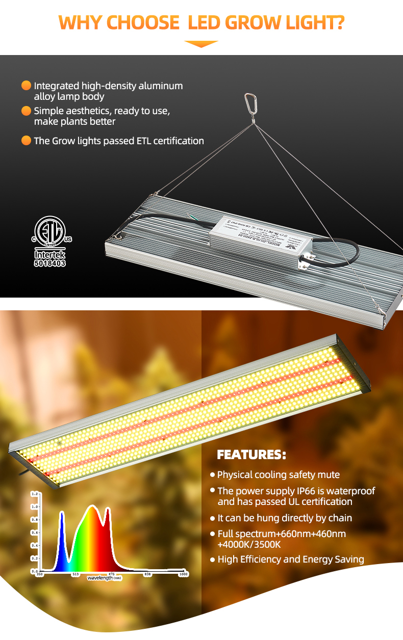 QB board 240W grow light