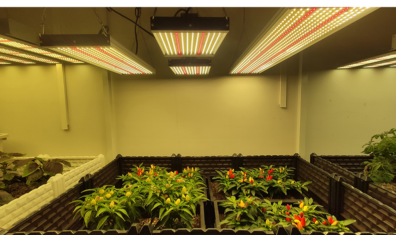 100watt grow led light