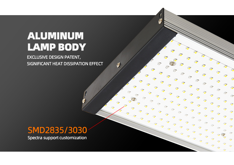 QB board 240W grow light