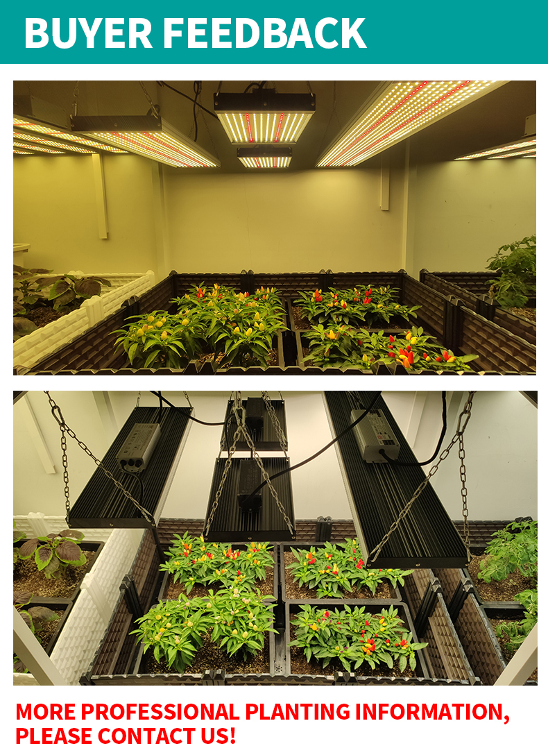 full spectrum led grow light