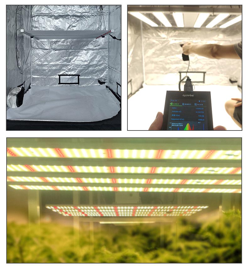 8 bar led grow light for medical plants