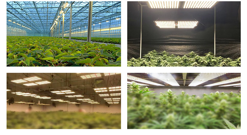 100w led grow light