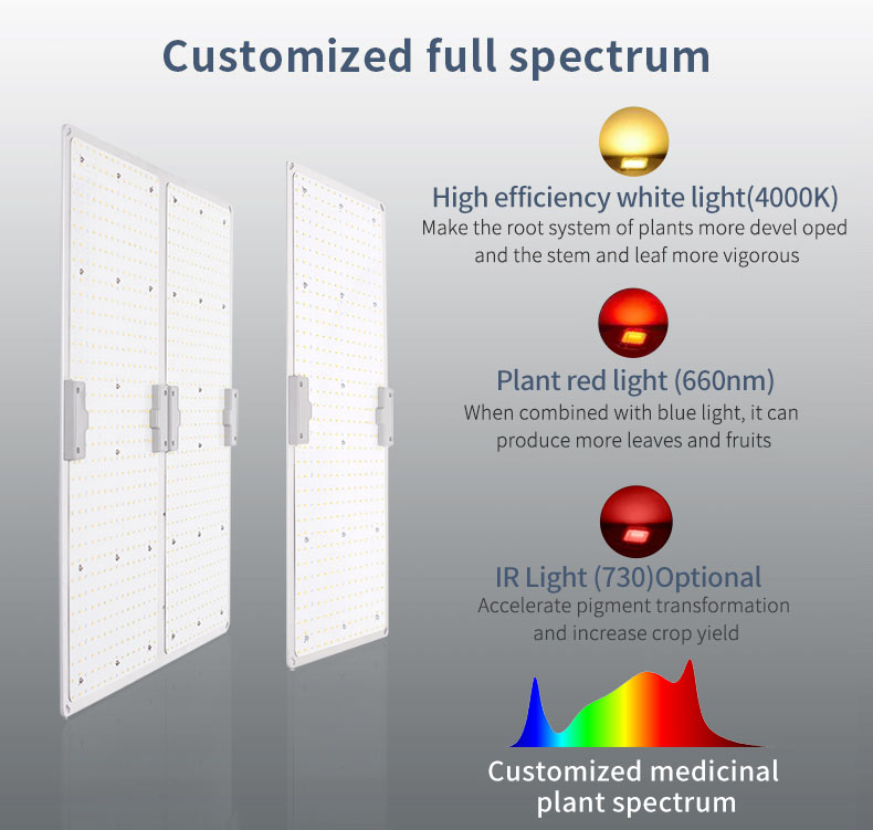 100w led grow light