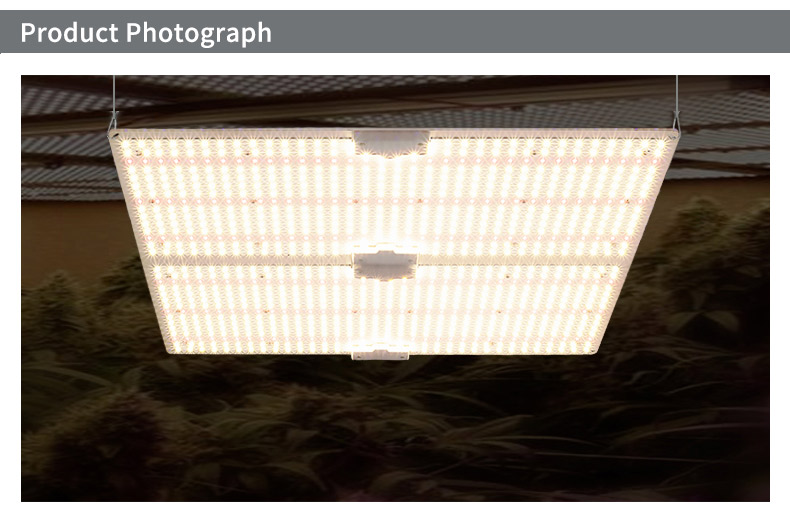 100w led grow light