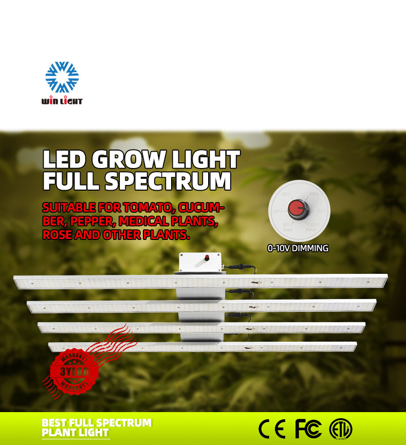 400w grow light