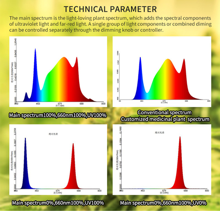 WHY IS LIGHT IMPORTANT FOR GROWING CANNABIS?