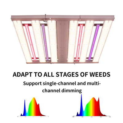 WHY IS LIGHT IMPORTANT FOR GROWING CANNABIS?