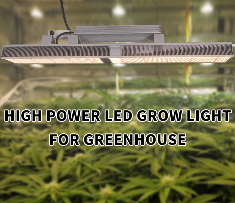 600w lm301b led grow light uv ir