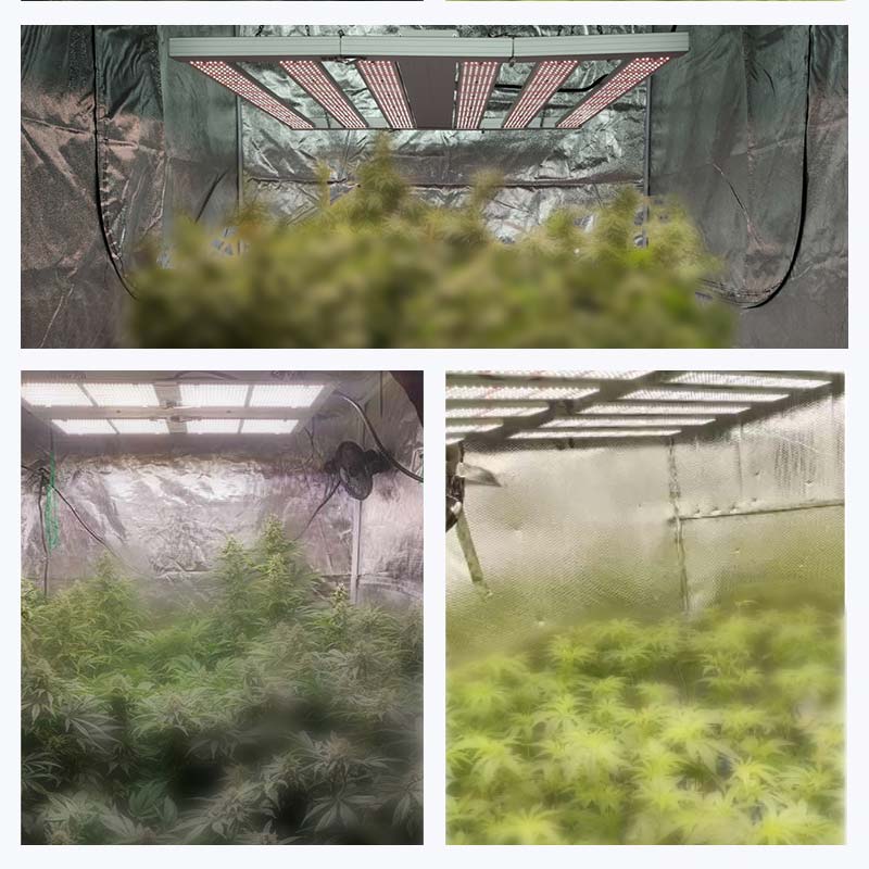 greenhouse grow tent kit