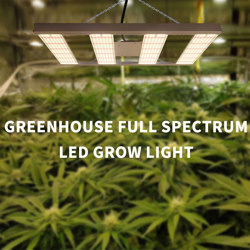 Facility Horticultural Semiconductor Lighting Technology