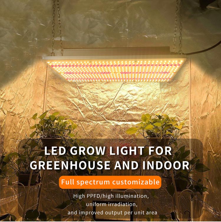 greenhouse Plants Veg bloom grow light led