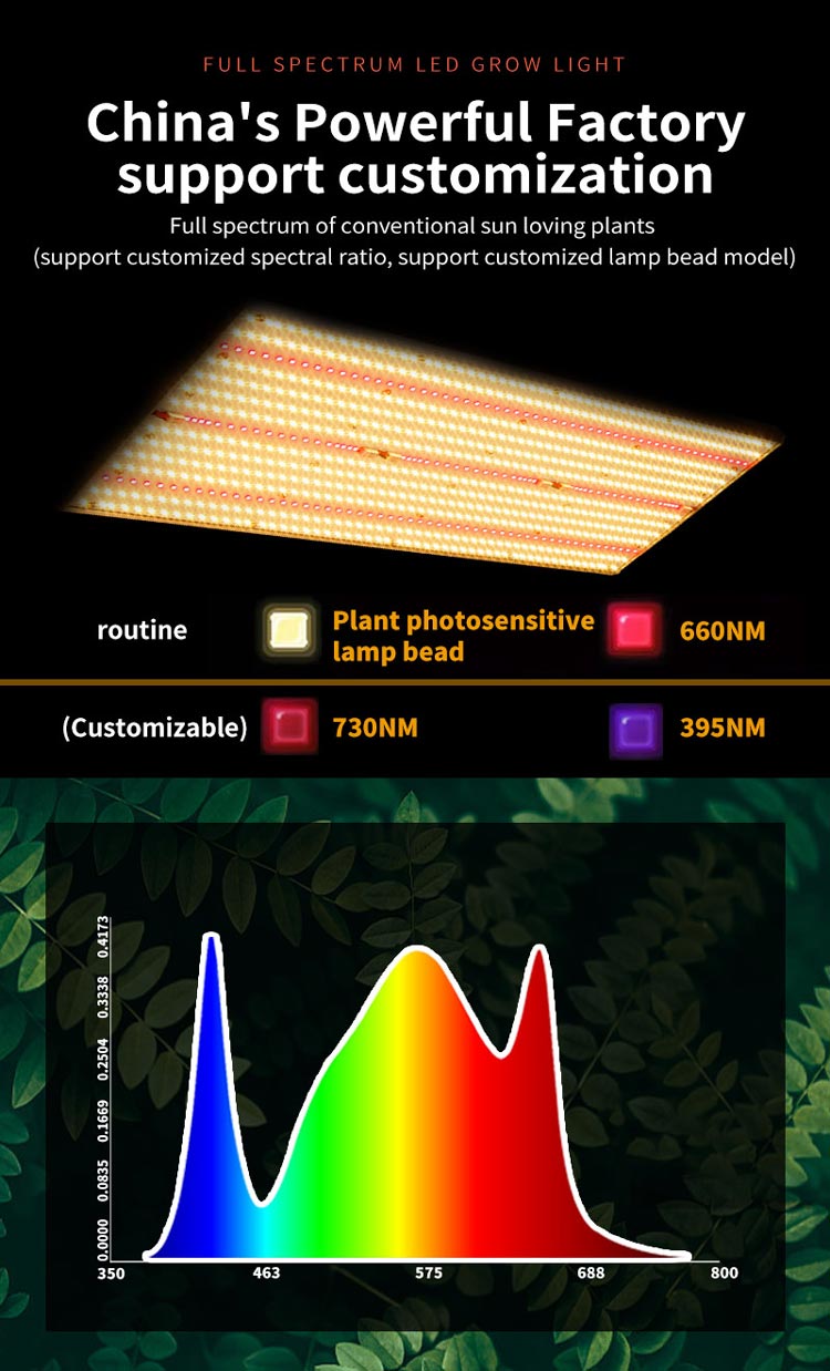 greenhouse Plants Veg bloom grow light led