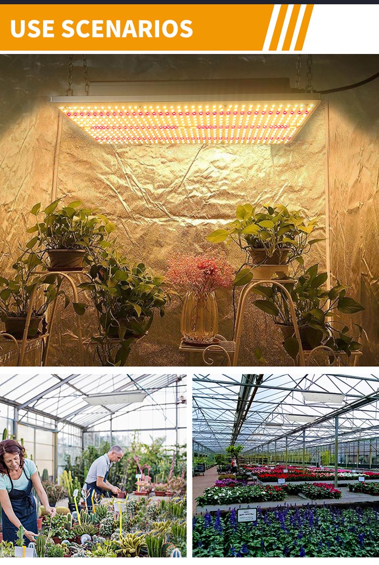 greenhouse Plants Veg bloom grow light led