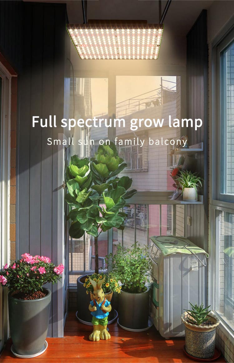 greenhouse Plants Veg bloom grow light led