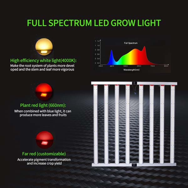 Two Folding Light Series