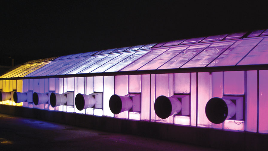 Greenhouse Lighting Technology