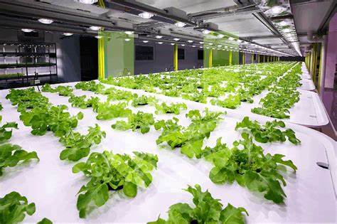 Semiconductor lighting for facility seedling breeding