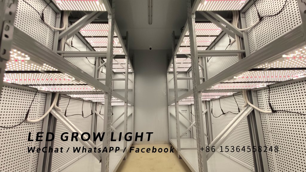 What are the role of 450nm 660nm LED and white LED in horticulture lighting?